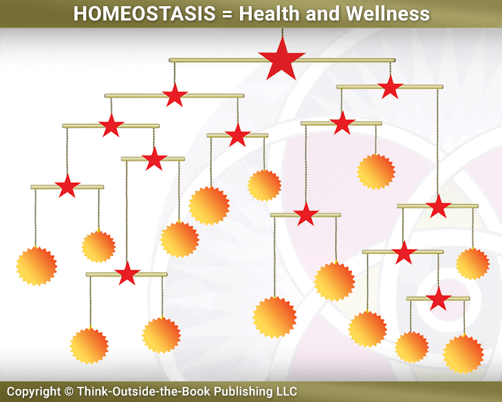 Homeostasis: Health and Wellness